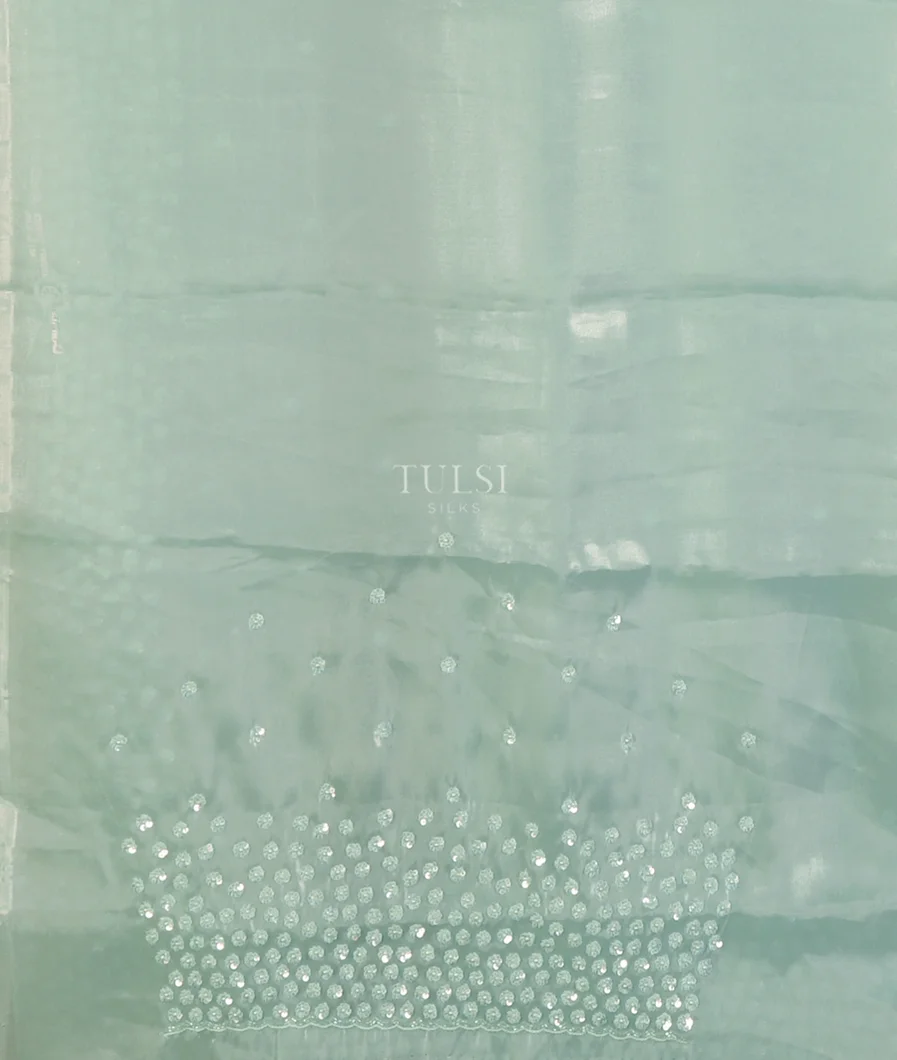 Blue Kora Tissue Organza Embroidery Saree T4520433