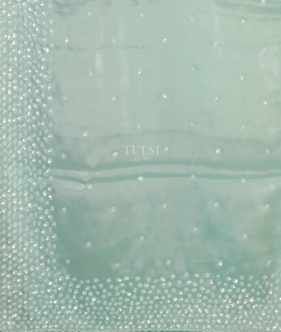 Blue Kora Tissue Organza Embroidery Saree T4520434