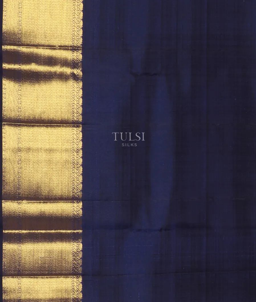 Blue Kanjivaram Silk Saree T4984503