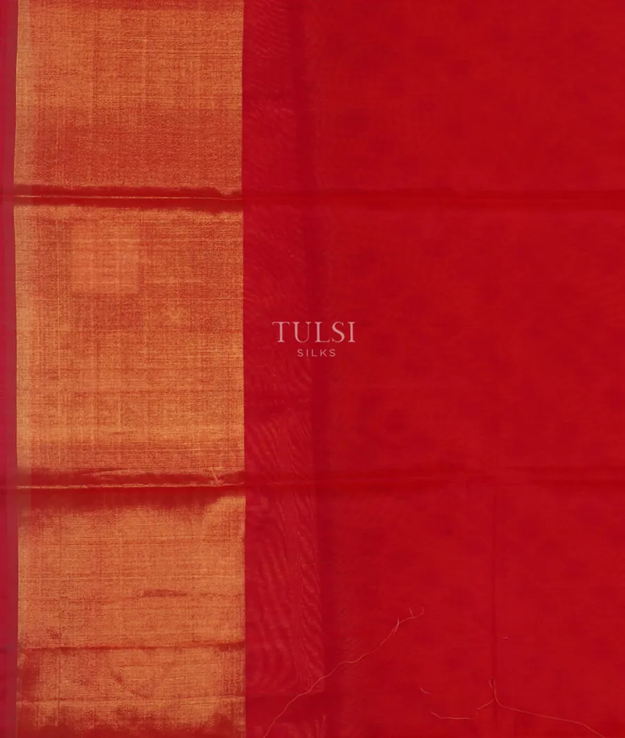 Yellow Pochampalli Silk Cotton Saree T4289193