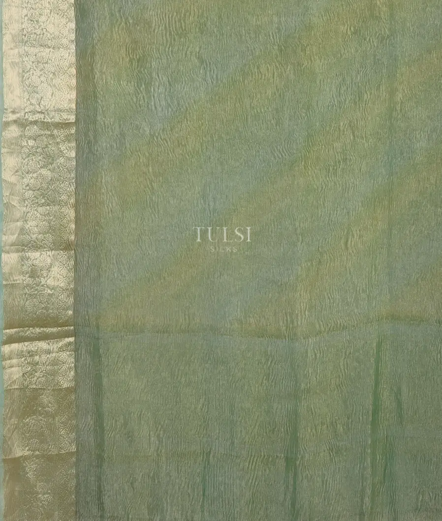 Green Woven Tissue Organza Saree T5085004