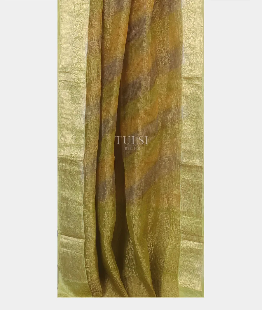 Yellowish Green Woven Tissue Organza Saree T5084982