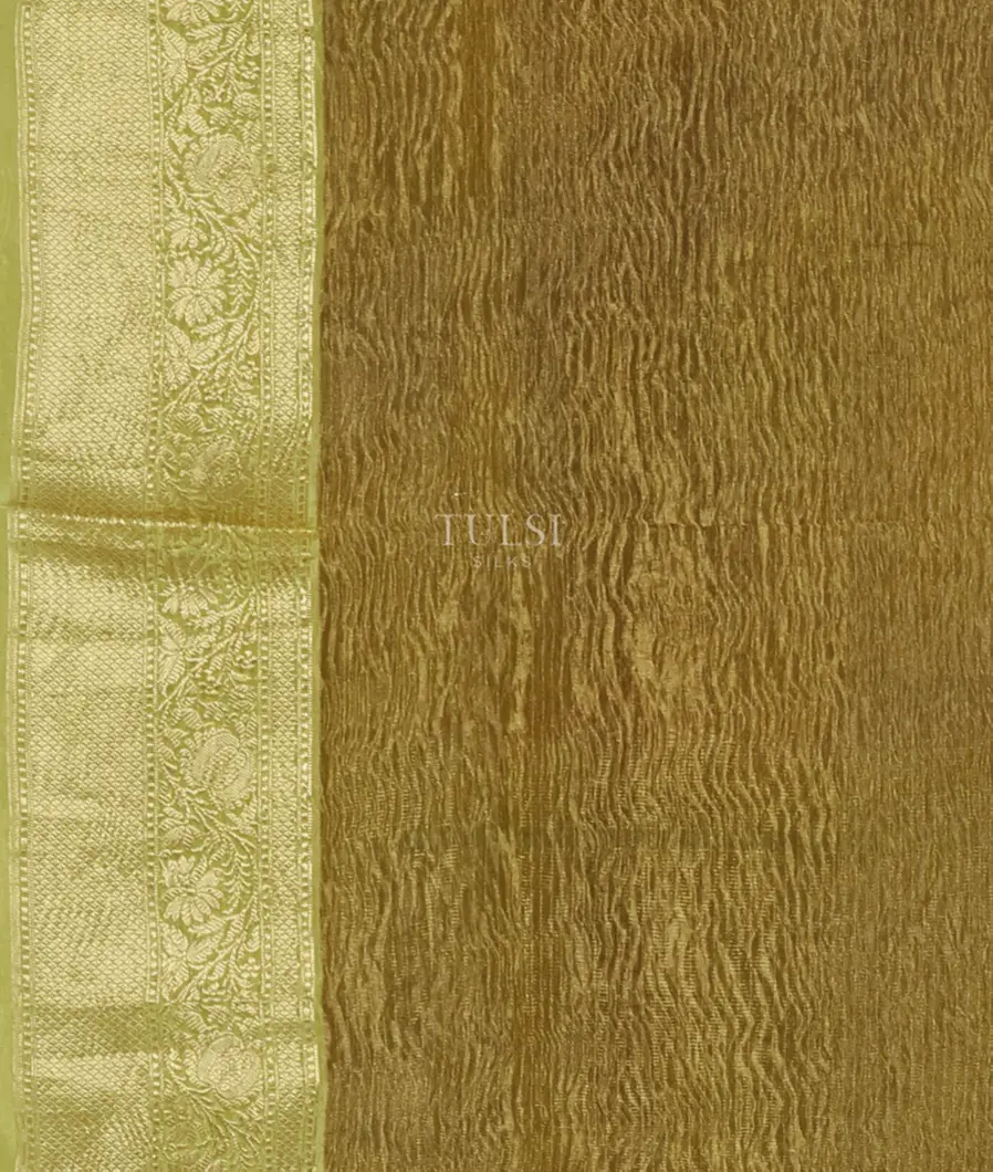 Yellowish Green Woven Tissue Organza Saree T5084983