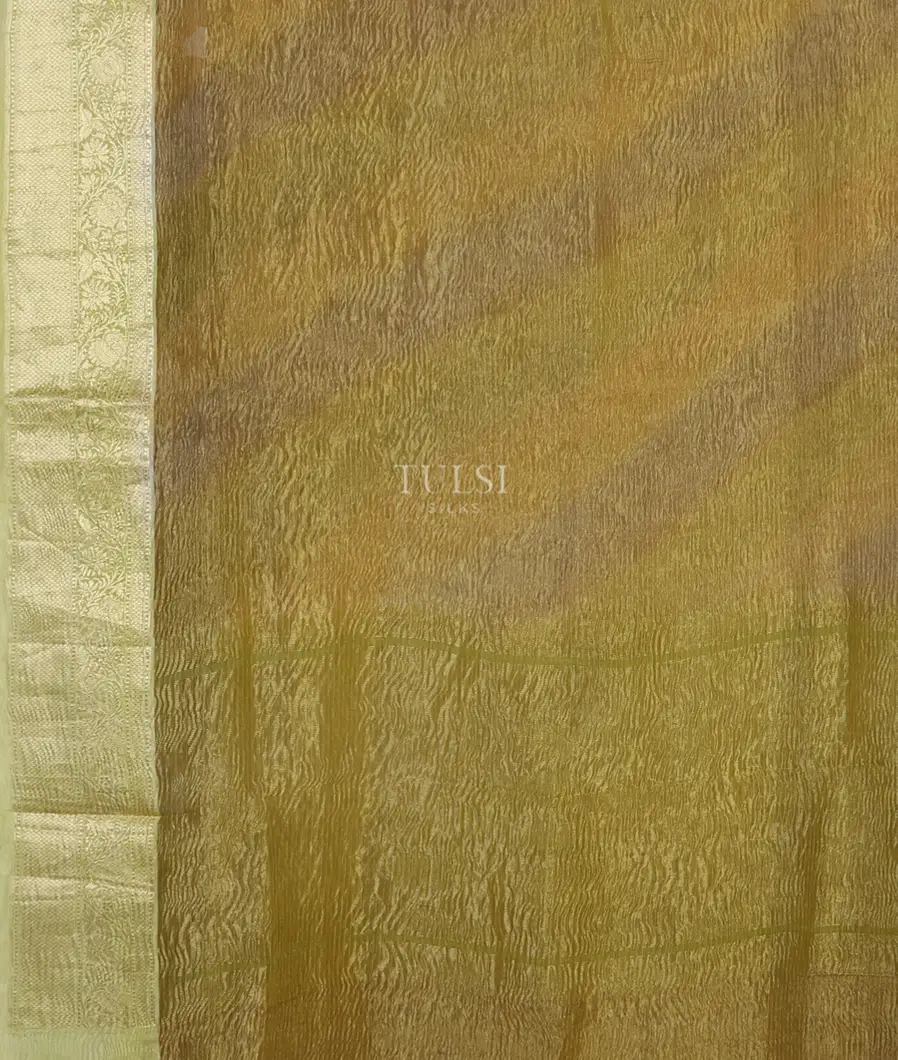 Yellowish Green Woven Tissue Organza Saree T5084984