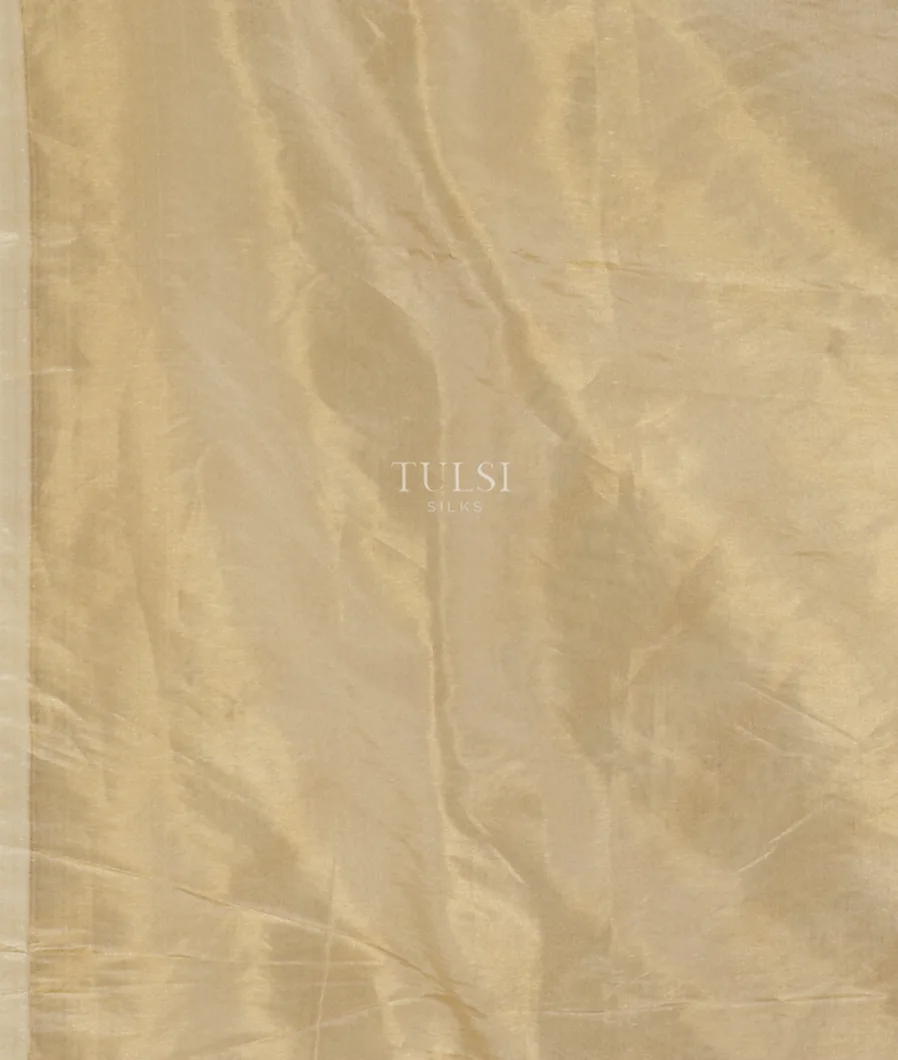 Beige Woven Tissue Organza Saree T5084953
