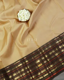 Beige Kanjivaram Silk Saree T5141874