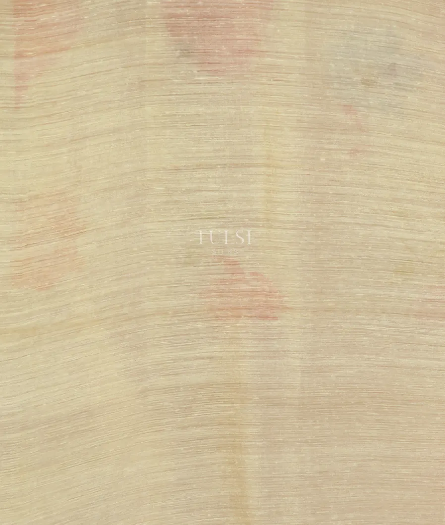 Cream Tussar Organza Printed Saree T5120543