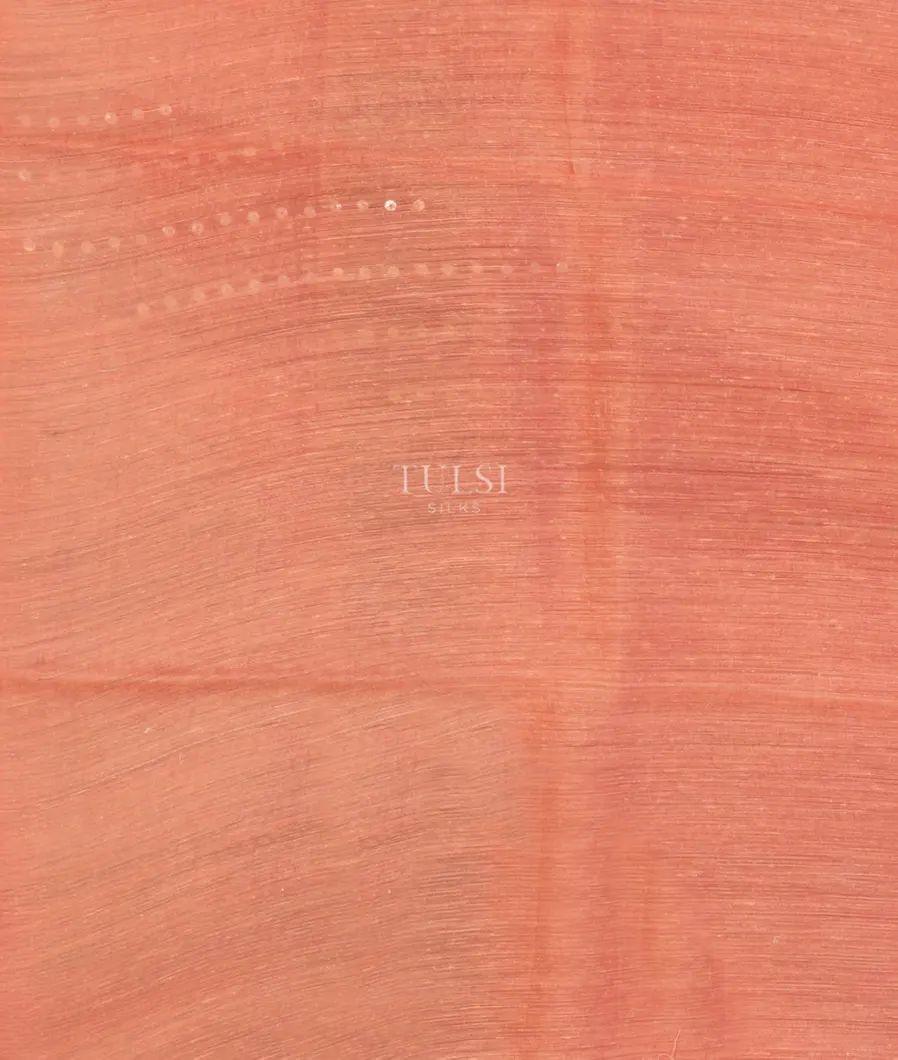 Peach Tussar Organza Printed Saree T5120573