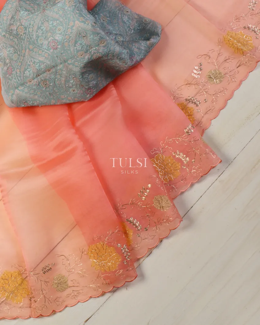 peach-kora-organza-embroidery-saree-t522545-t522545-b