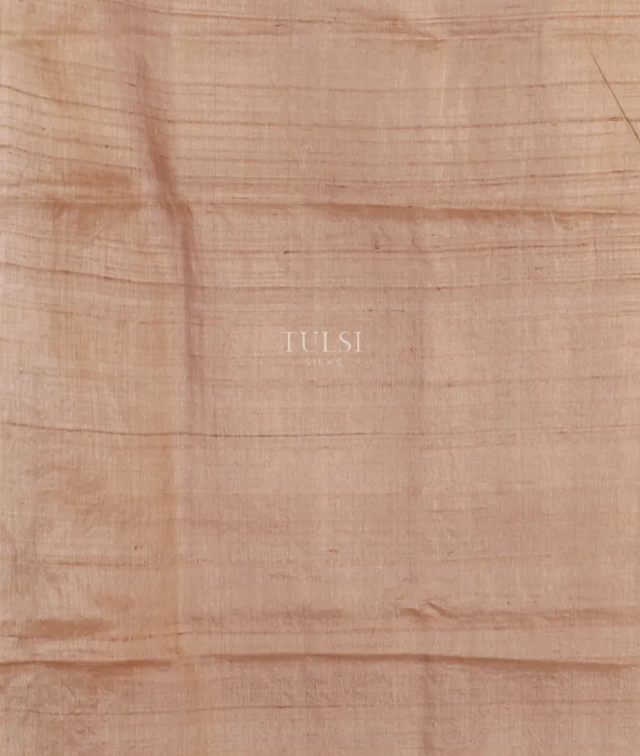 Beige Tussar Embroidery Saree T5218683