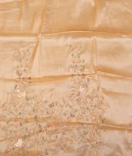 Peach Tussar Embroidery Blouse T4145711