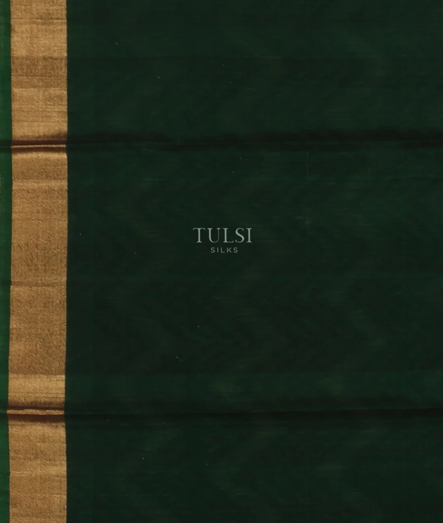 Black Pochampalli Silk Cotton Saree T5263893