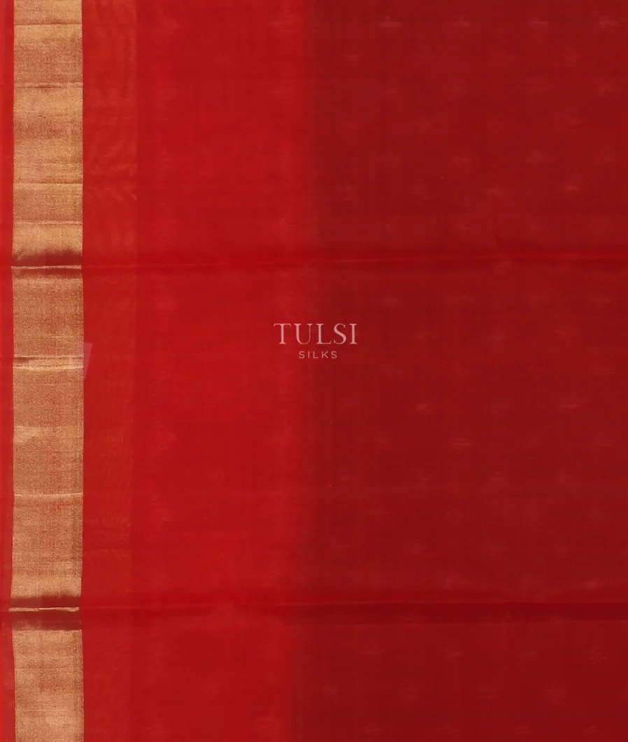 Black Pochampalli Silk Cotton Saree T5263993