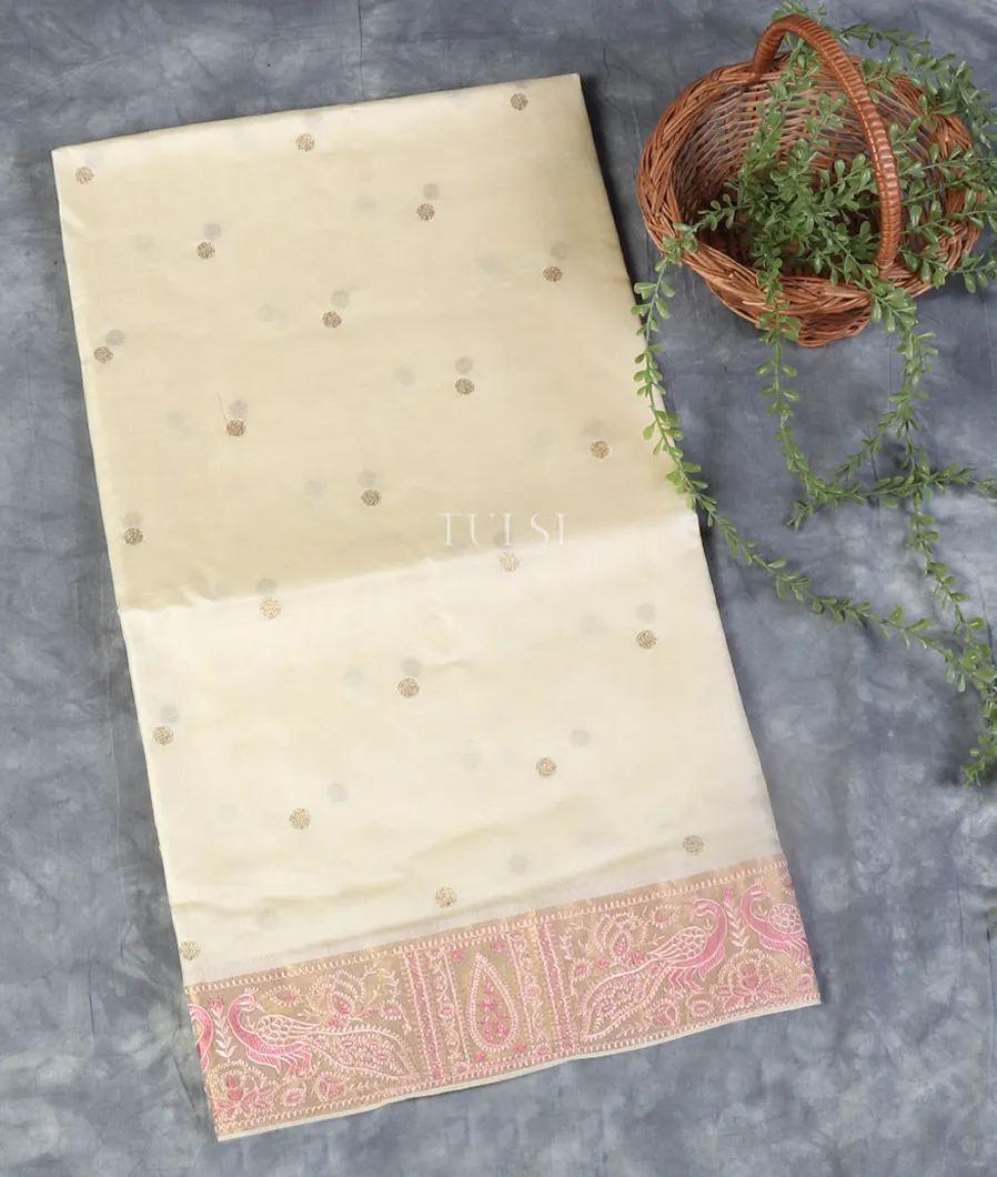 Off-White Tussar Embroidery Saree T530022-image