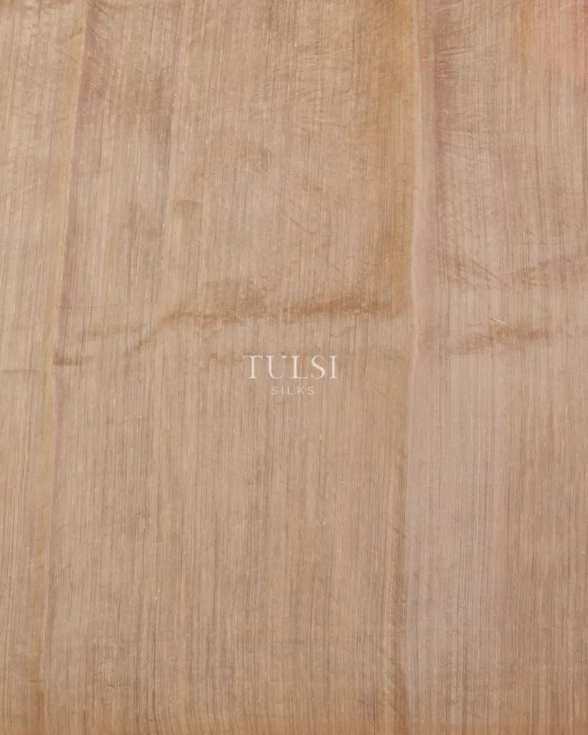 Beige Organza Printed Saree T5303013