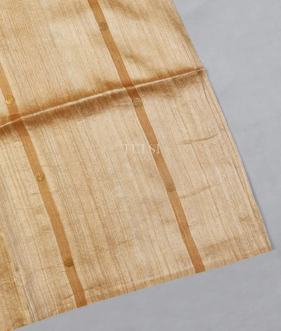 Beige Handwoven Tussar Saree T531815-image