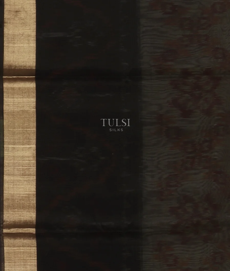 Beige Pochampalli Silk Cotton Saree T5264073