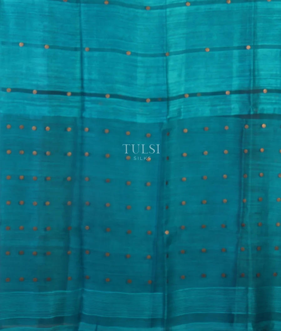 blue-handwoven-tussar-saree-t531777-t531777-d