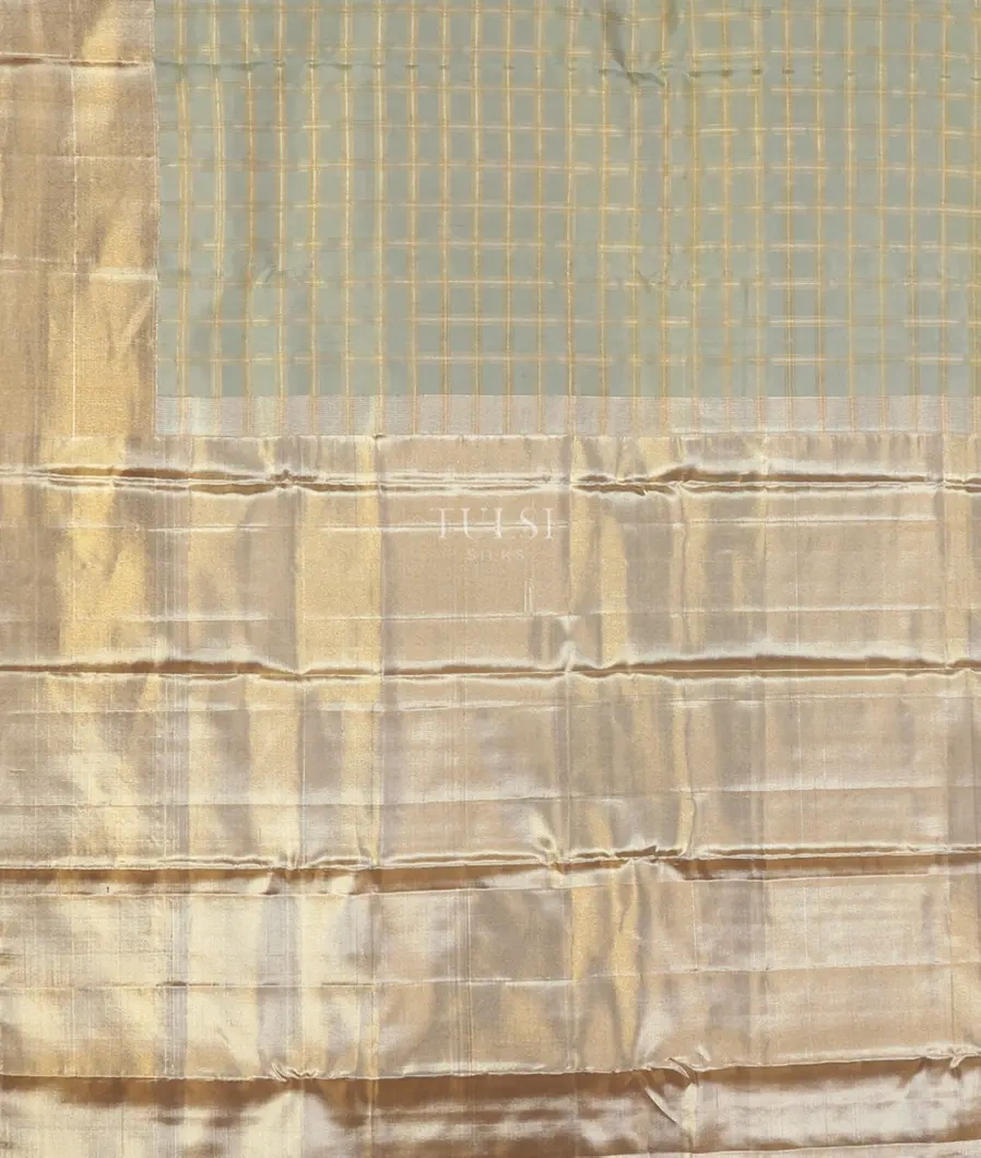 Grey Kanjivaram Silk Saree T4208774