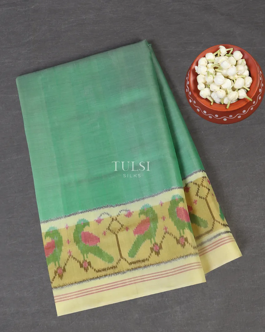 Green Patola Silk Saree T534728-image