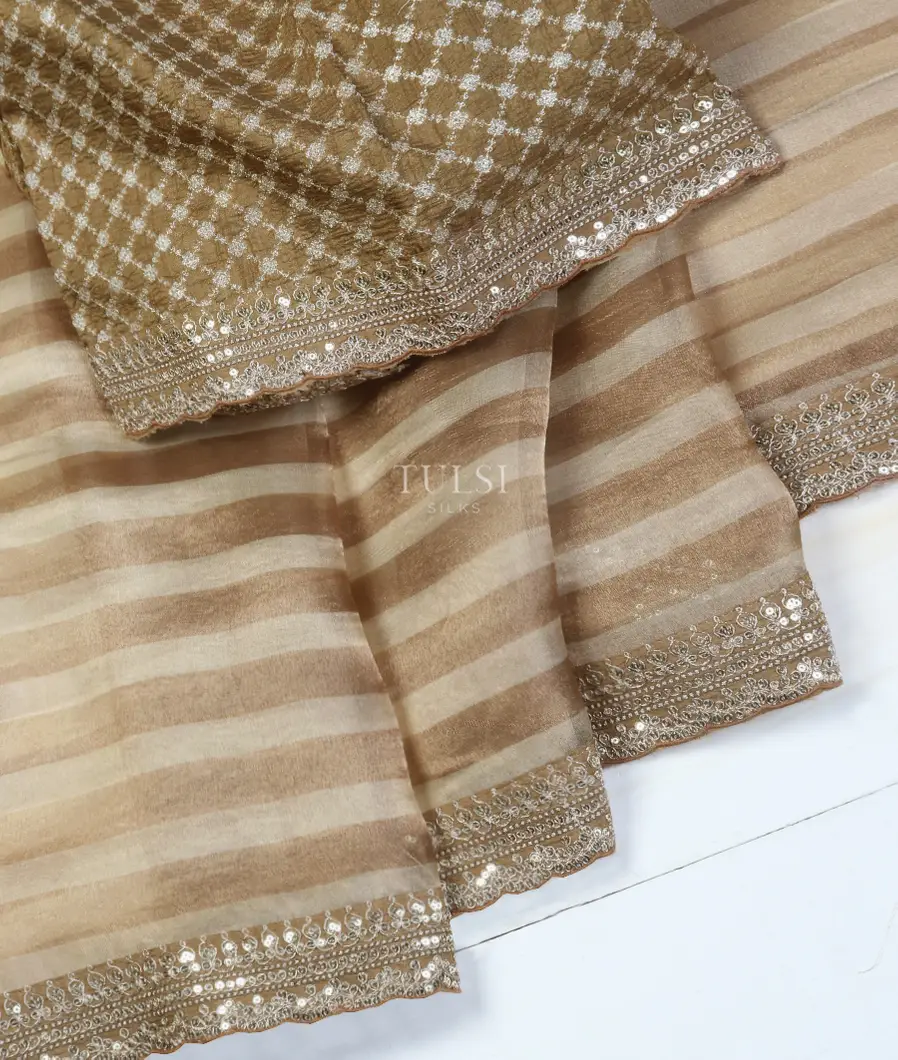 Brown And Off -White Kora Tissue Organza Embroidery Saree T5347332