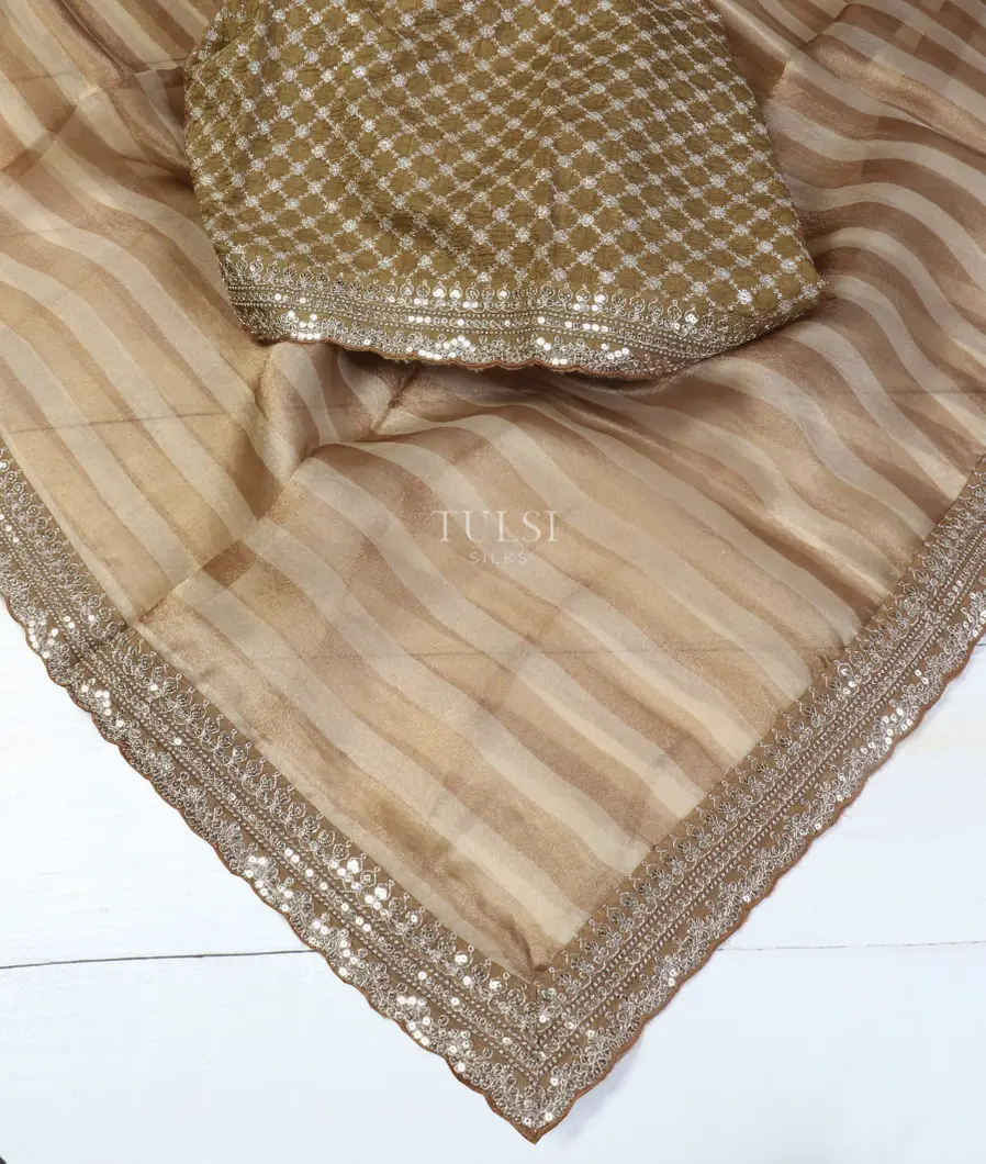 Brown And Off -White Kora Tissue Organza Embroidery Saree T5347334