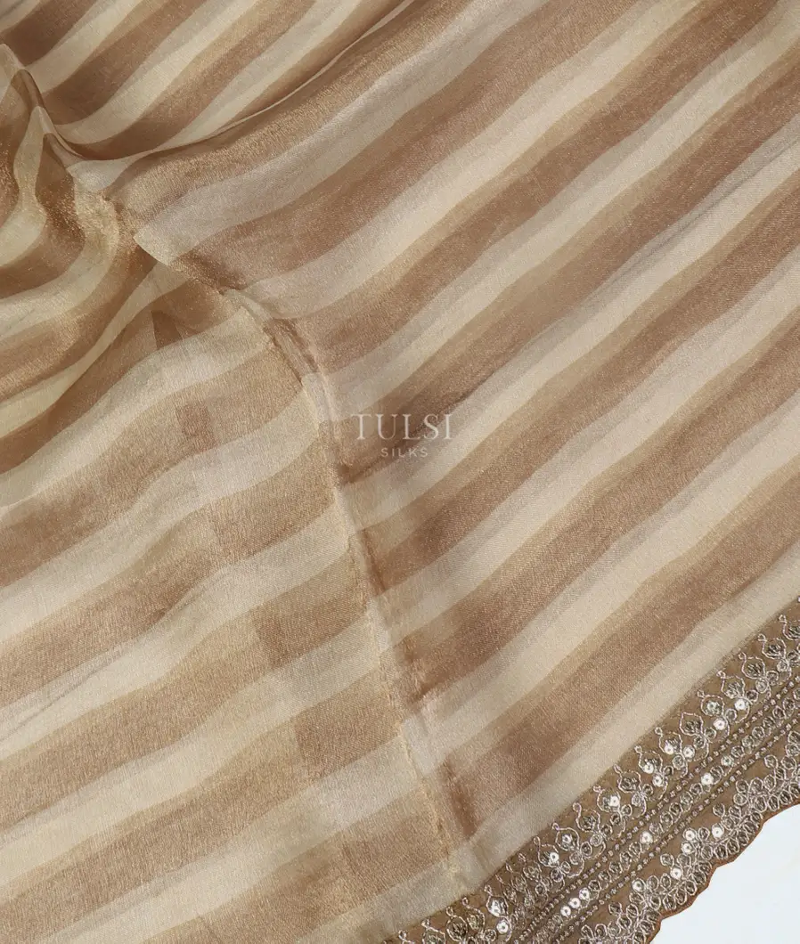 Brown And Off -White Kora Tissue Organza Embroidery Saree T5347335
