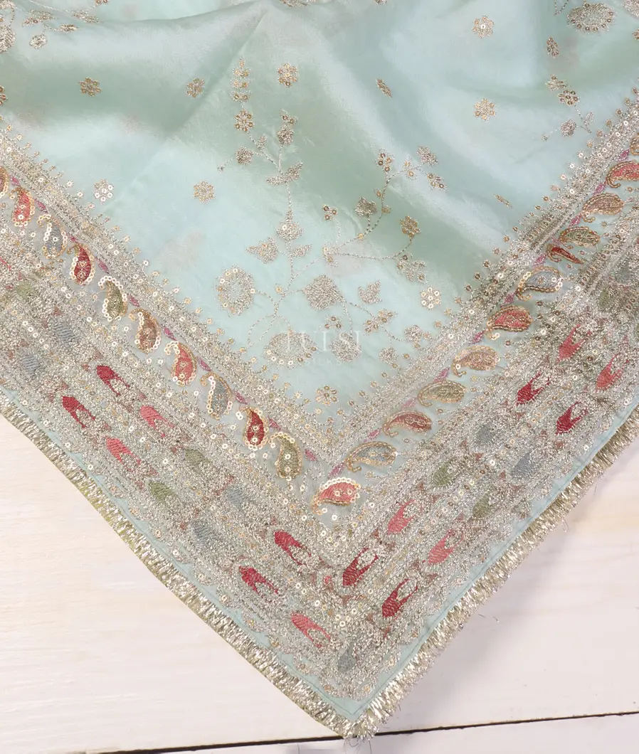 Blue Kora Organza Embroidery Saree T5035764