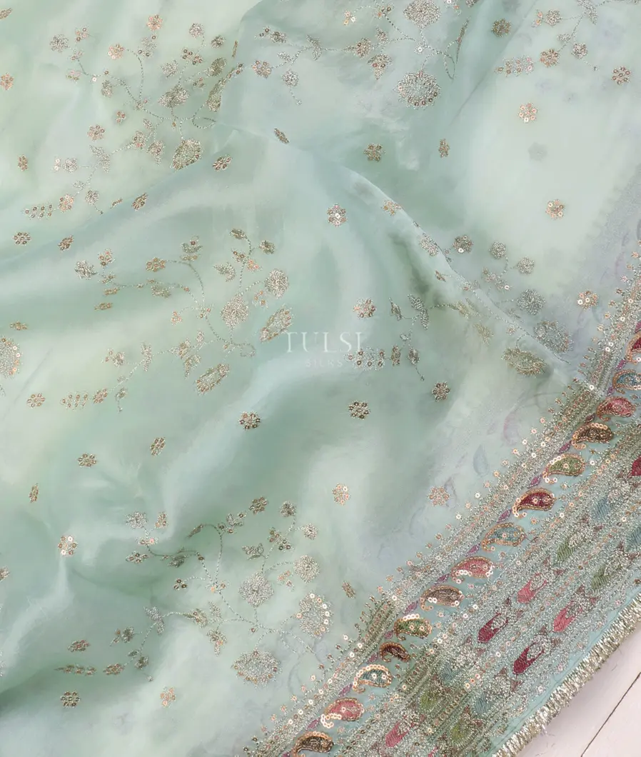 Blue Kora Organza Embroidery Saree T5035765