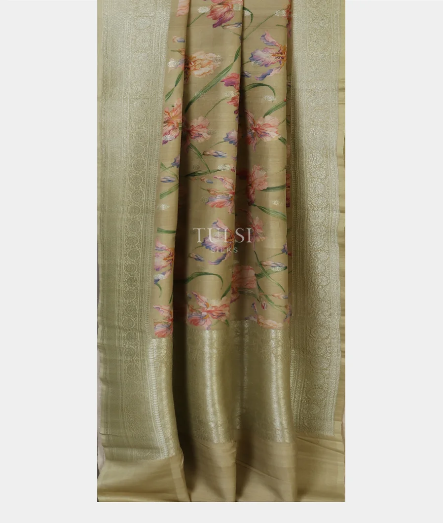 Greenish Beige Banaras Kathan Silk Saree T4093652