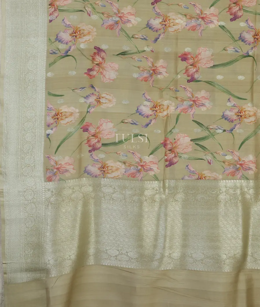 Greenish Beige Banaras Kathan Silk Saree T4093654