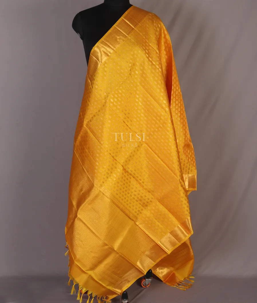yellow-kanjivaram-silk-dupatta-t504149-t504149-b