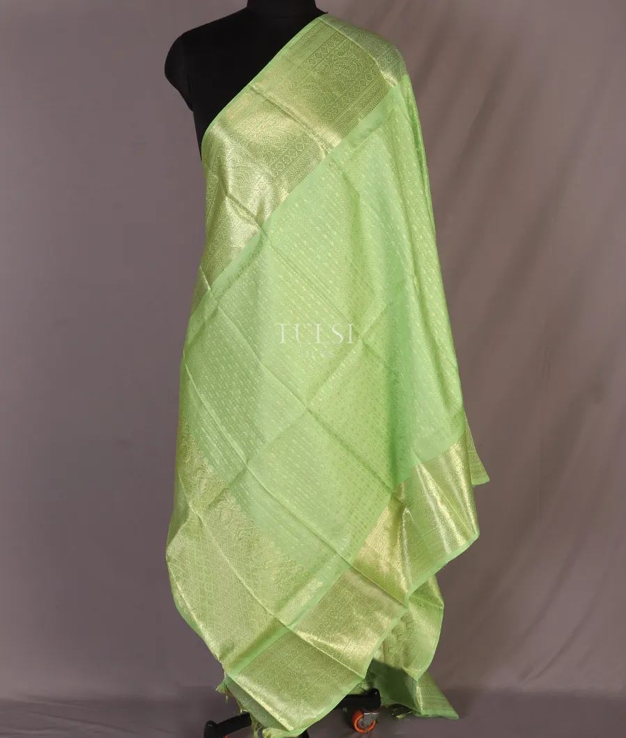 green-kanjivaram-silk-dupatta-t350187-t350187-b