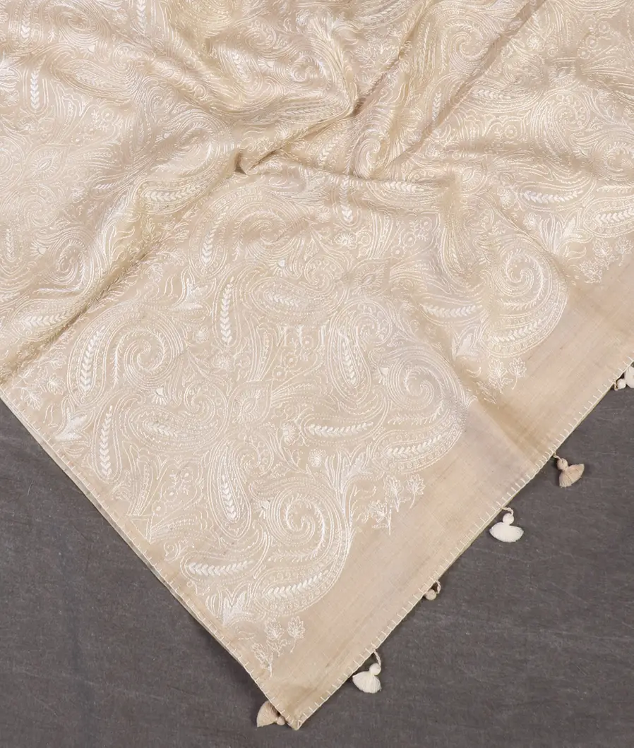 beige-tussar-embroidery-saree-t519109-t519109-b