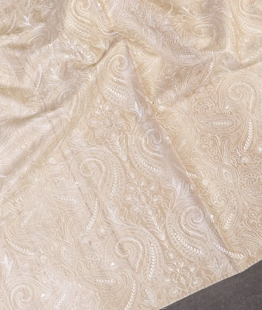 beige-tussar-embroidery-saree-t519109-t519109-d