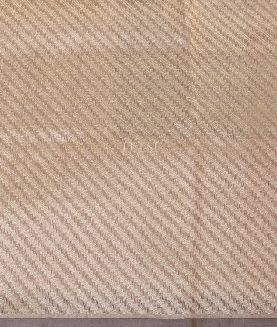 Light Green Banaras Tissue Silk Saree T5377443