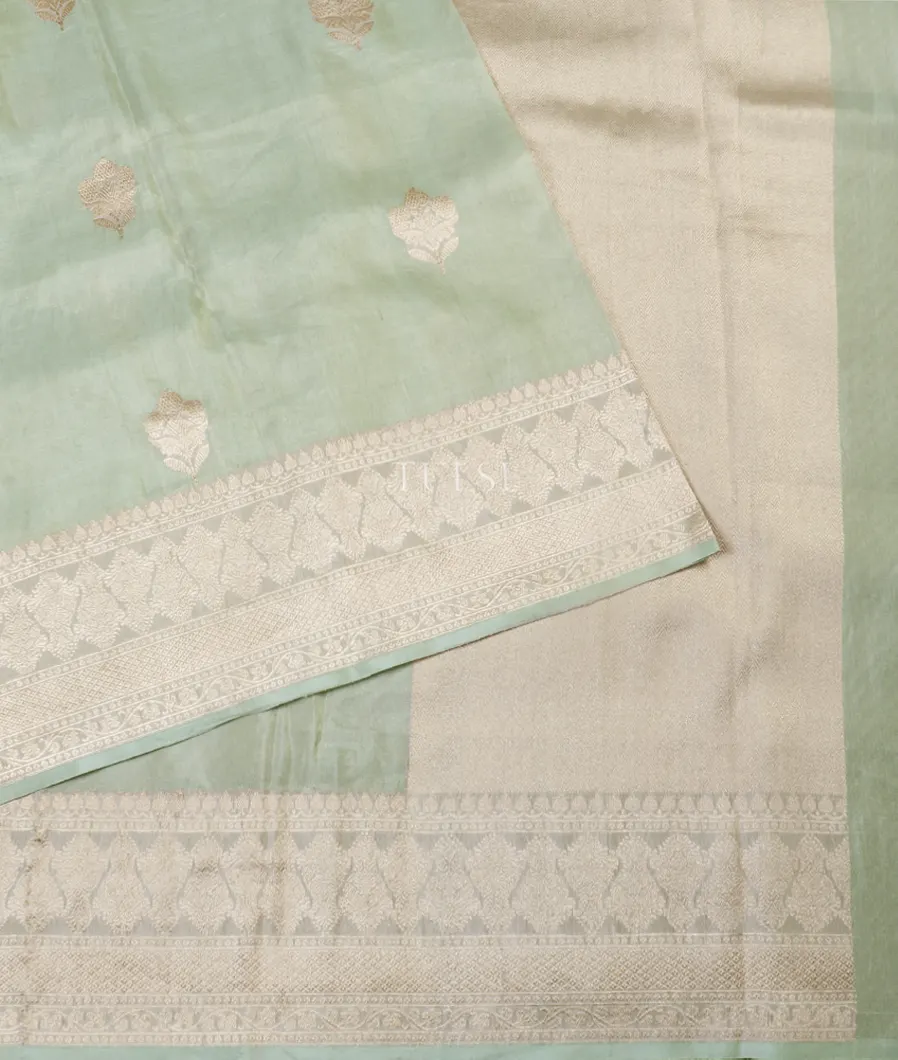 Light Green Banaras Tissue Silk Saree T5377444