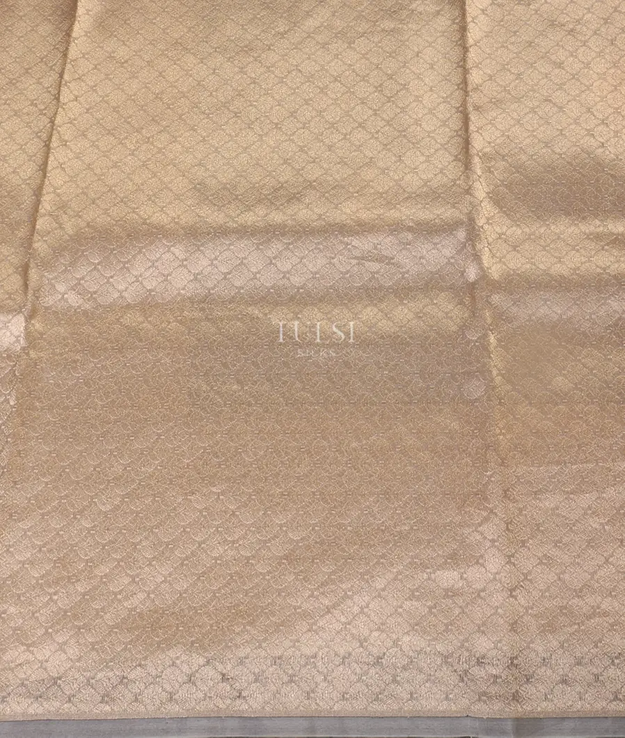 Cream Banaras Tissue Silk Saree T5377463