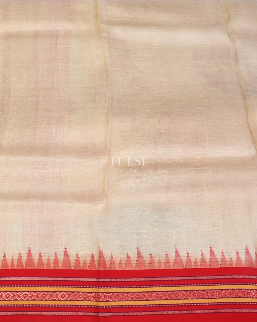 Beige Vidarbha Tussar Saree T5120633