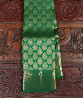 Green Kanjivaram Silk Saree T4219661