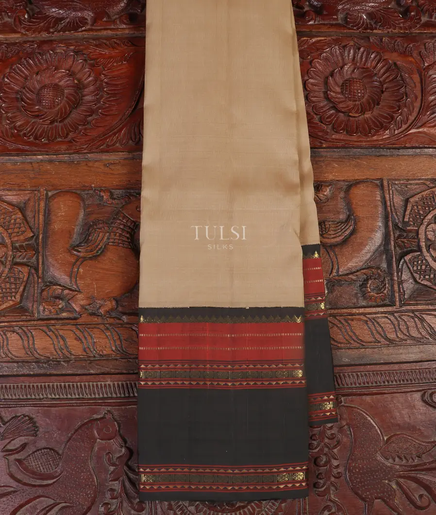 Beige Kanjivaram Silk Saree T486380-image