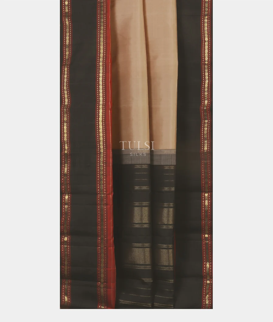 Beige Kanjivaram Silk Saree T4863802