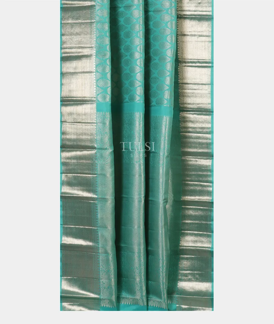 Blue Kanjivaram Silk Saree T4592312
