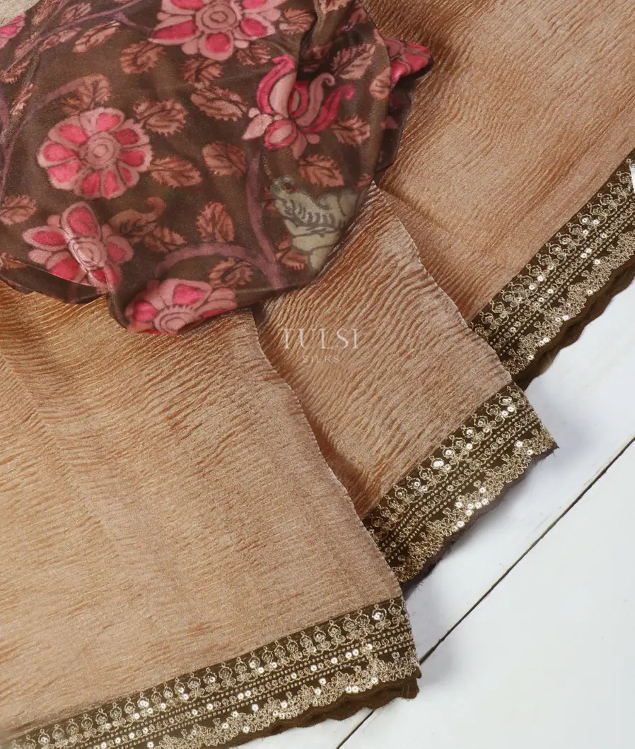 Brown Kora Tissue Organza Embroidery Saree T5430655