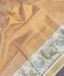 Beige Patola Silk Saree T5449965