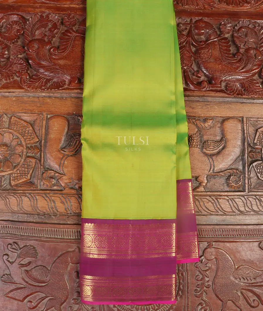 Yellowish Green Kanjivaram Silk Saree T539469-image