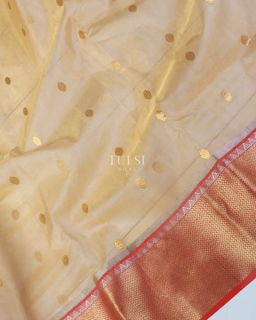 FALSA HANDWOVEN TISSUE CHANDERI EMBROIDERED SHAMBHAVI SAREE – SHIVANI  BHARGAVA