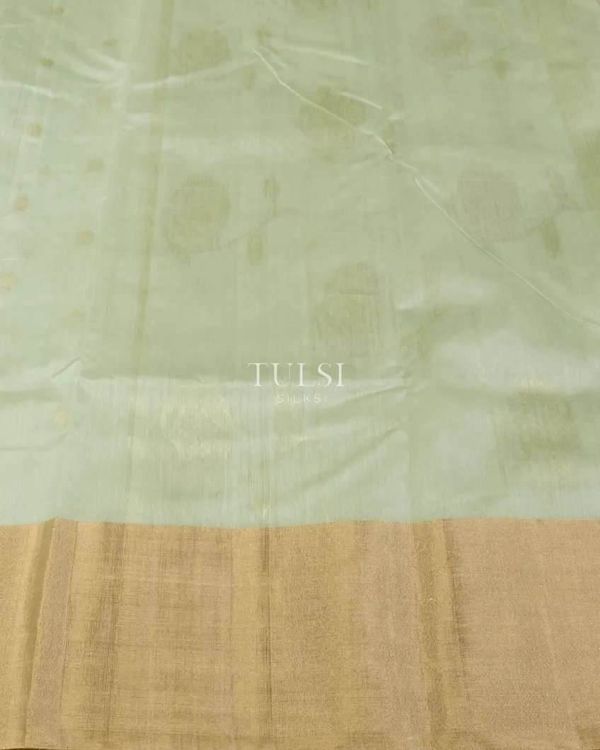 green-chanderi-cotton-saree-t542392-t542392-c