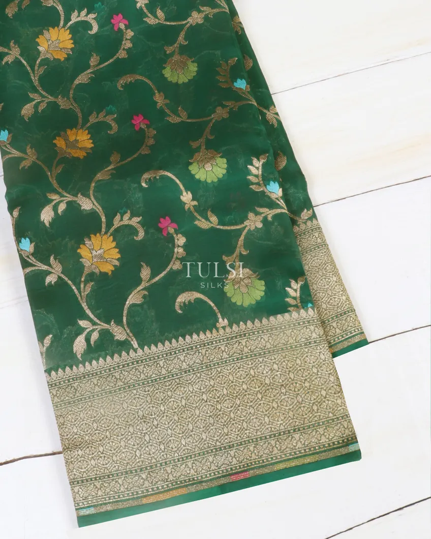 Green Banaras Organza Saree T545310-image