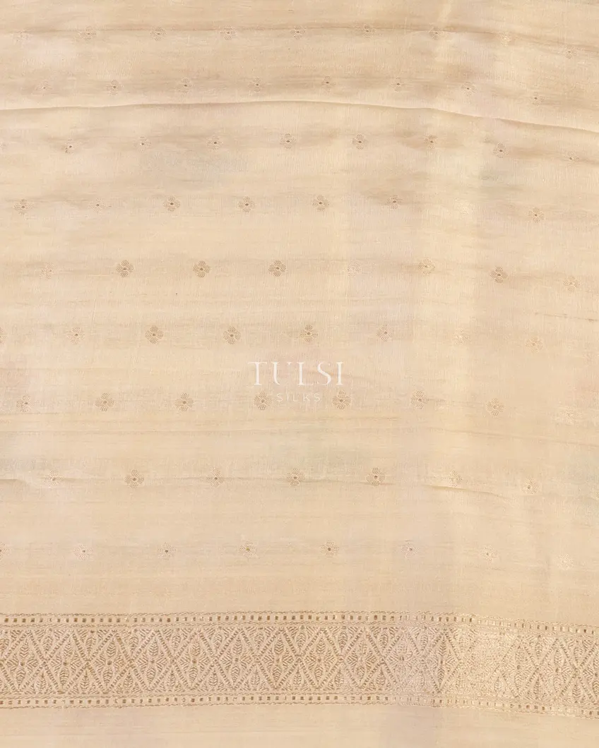 Off-White Tussar Georgette Saree T5445323